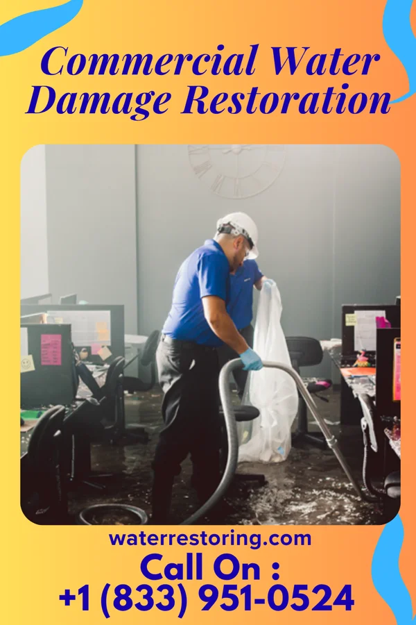 Commercial Water Damage Restoration in Nekoma, ND