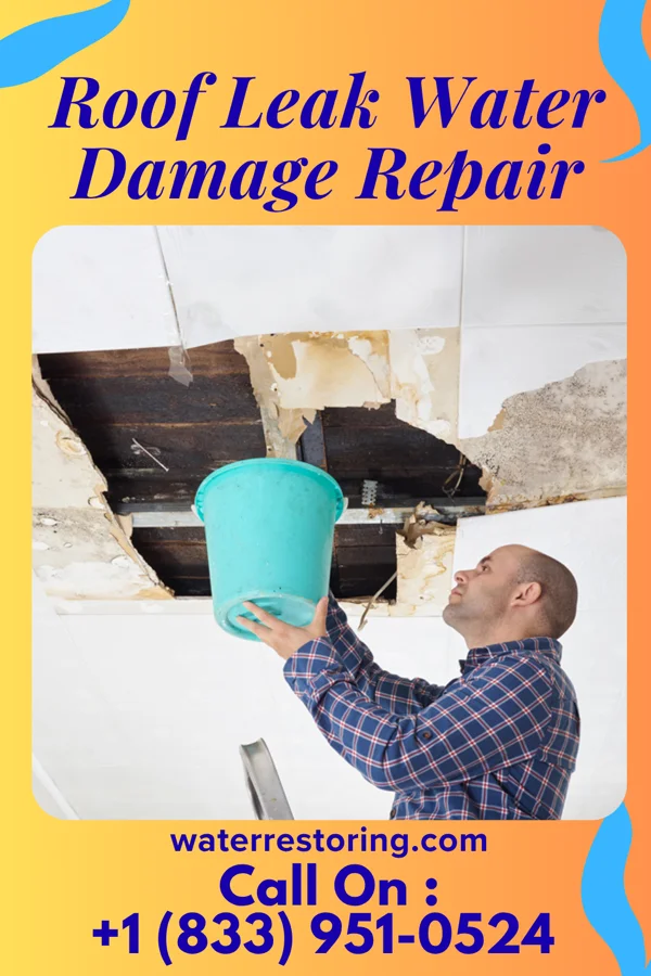 Roof Leak Water Damage Repair in Nekoma, ND